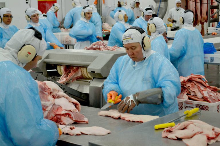 Sindicato move ação contra a Languiru por atrasar parcelas a ex-funcionários do Frigorífico de Suínos