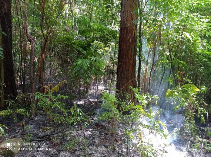 Crédito da foto: Divulgação Bombeiros