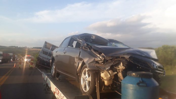 WhatsApp Image 2020-11-11 at 18.53.53