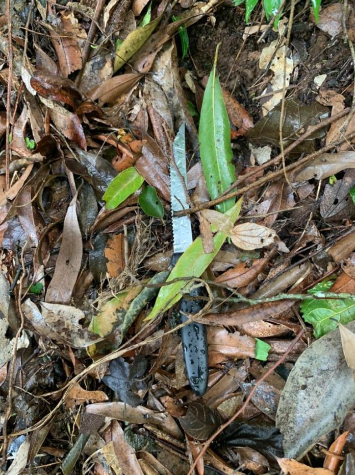 Foto: divulgação Draco