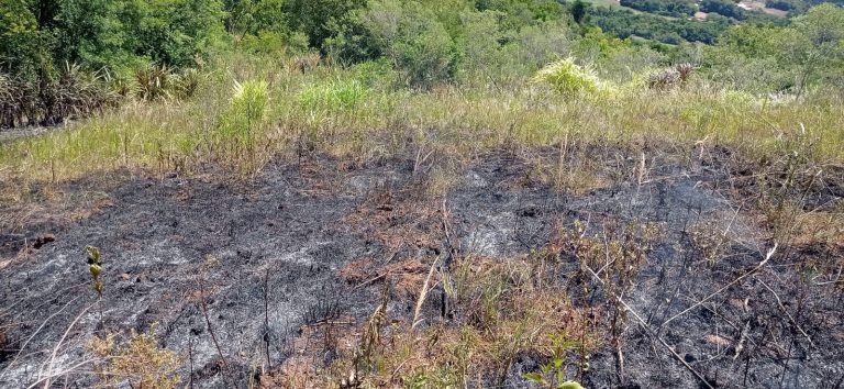 Incêndio atinge vegetação na Estrada Geral Boa Vista, em Teutônia