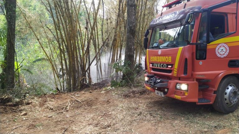 Bombeiros Militares combatem incêndio em vegetação próximo de empresa em Nova Bréscia
