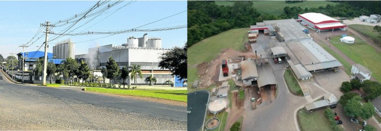 Languiru e Lactalis firmam parceria de captação de leite no RS