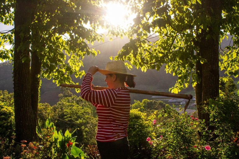 Westfália divulga período de inscrições para 15º Concurso Fotográfico