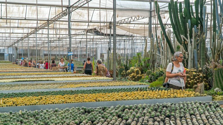 Imigrante promove evento turístico para a imprensa e produtores de conteúdo