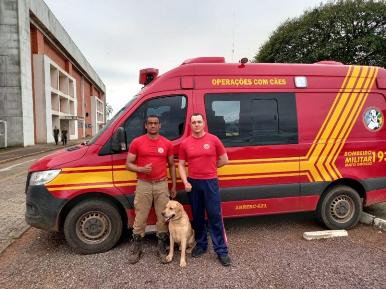 Cão de resgate do Corpo de Bombeiros Militar do Rio Grande do Sul morre após acidente em Bom Retiro do Sul