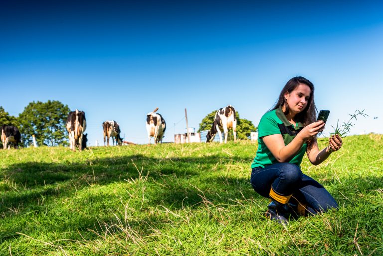 Colégio Teutônia recebe inscrições para bolsas de estudos de até 100%