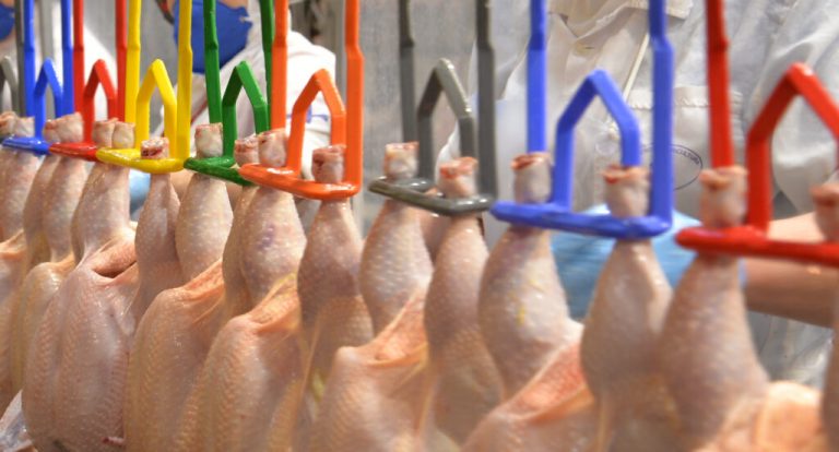 JBS firma contrato com a Languiru para processamento de aves