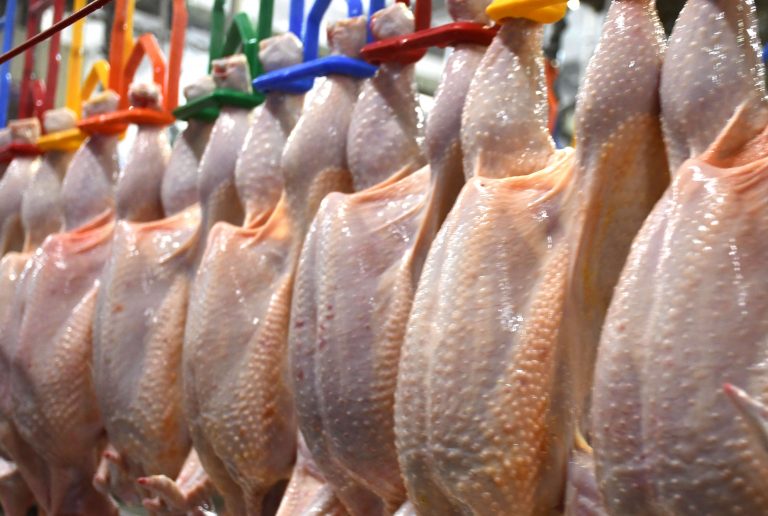 Languiru firma parceria com empresa da Serra Gaúcha