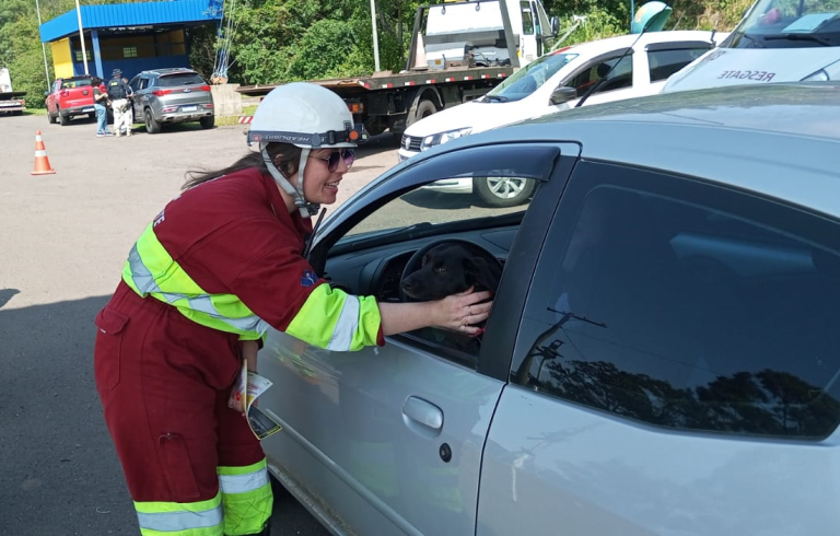 CCR ViaSul divulga programação para a Semana Nacional do Trânsito