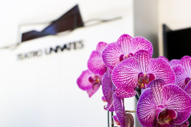 Confira a programação do Teatro Univates para os próximos dias 