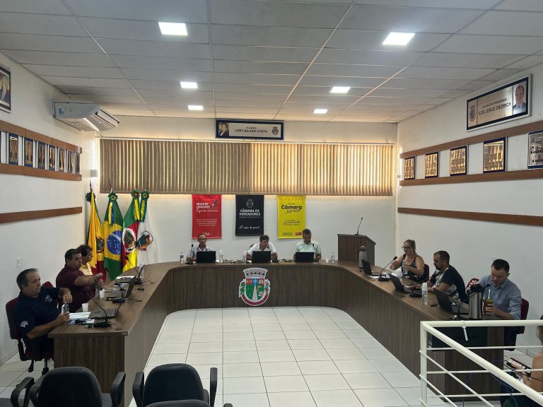 Câmara de Vereadores de Fazenda Vilanova aprova cinco projetos e três indicações