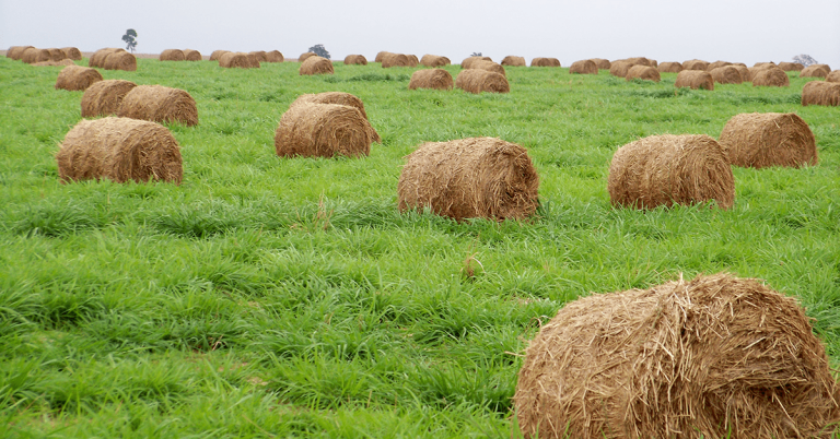 Produtores de Colinas questionam cobrança de valores por doações recebidas