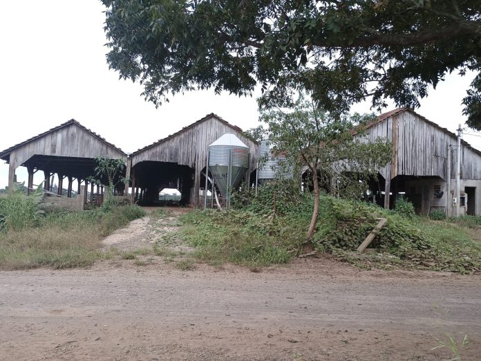Totalmente comprometidas, as instalações foram abandonadas pela familia_Arquivo Pessoal_Samuel Wermann