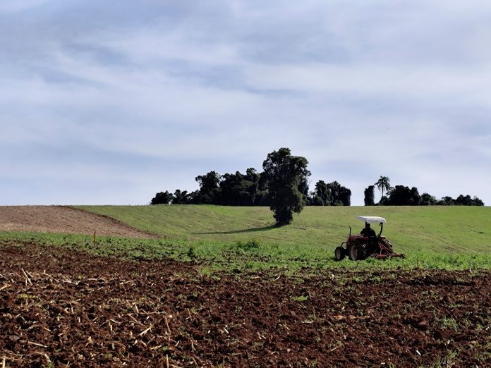 Agro_TM