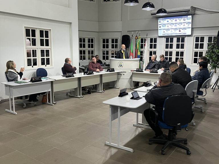 Vereadores de Teutônia defendem mutirão para retirada de fios sem uso dos postes