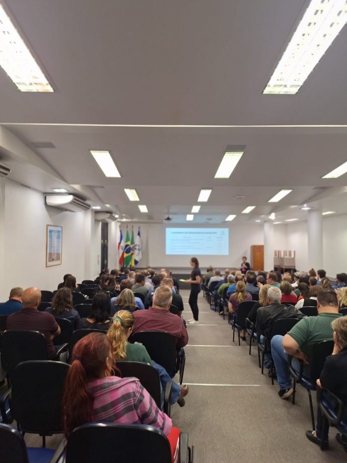 WhatsApp Image 2025-09-11 at 14.14.52