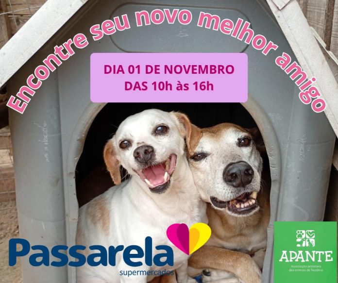 5ddf02ec-eebd-46e9-9c36-9afa2e276b5d