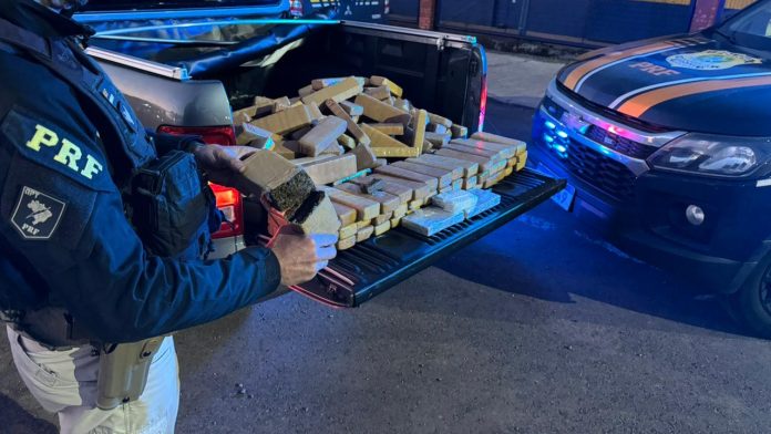 bf4602c9-d534-43d1-b9c9-35e4186c15c2