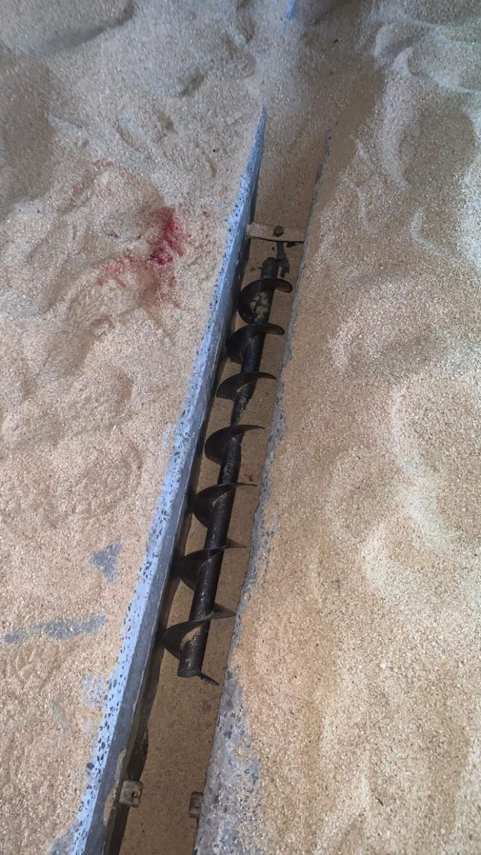 WhatsApp Image 2025-11-26 at 21.33.53