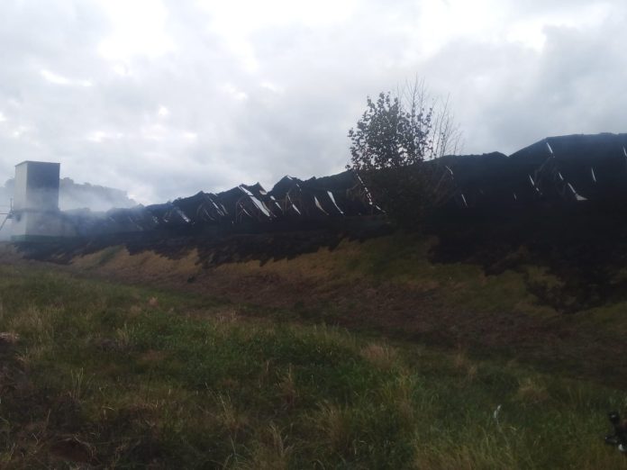 whatsapp-image-20251122-at-07-1763809376