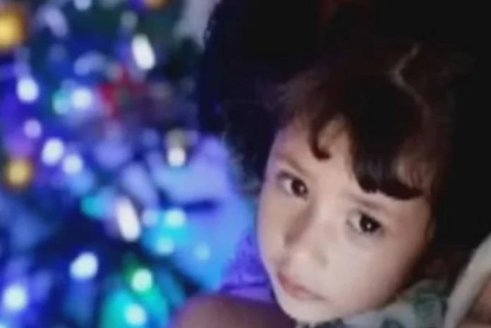 WhatsApp Image 2025-12-17 at 10.10.55