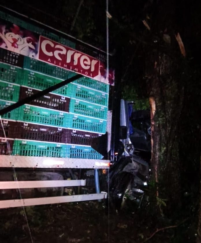 f8bea738-c3c0-4199-8f44-22f977faa188