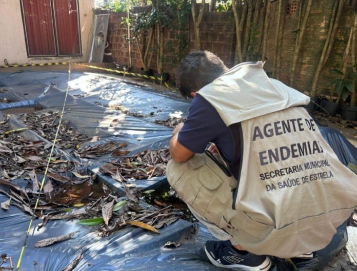 Administrações municipais da região intensificam ações com inseticidas_DIV