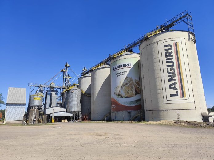 Languiru e Nutritec suspendem recebimento de milho úmido