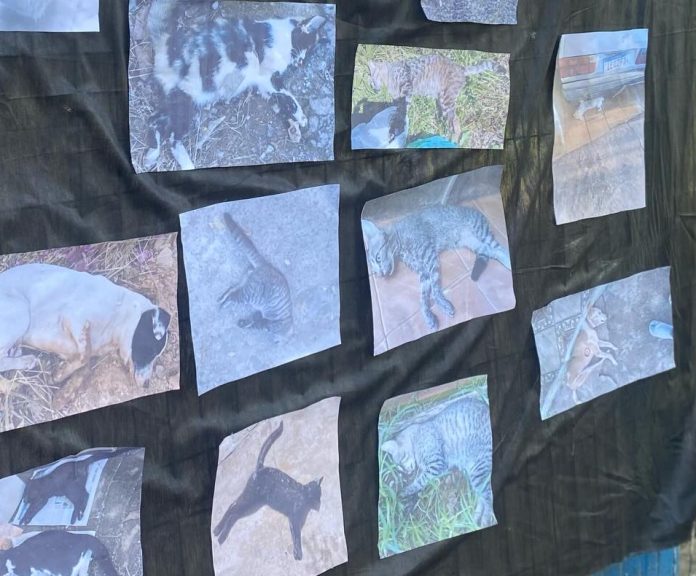 WhatsApp Image 2026-02-25 at 13.01.23