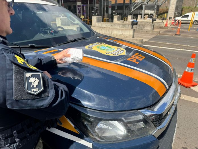 PRF prende homem com cocaína durante fiscalização na praça de pedágio de Paverama