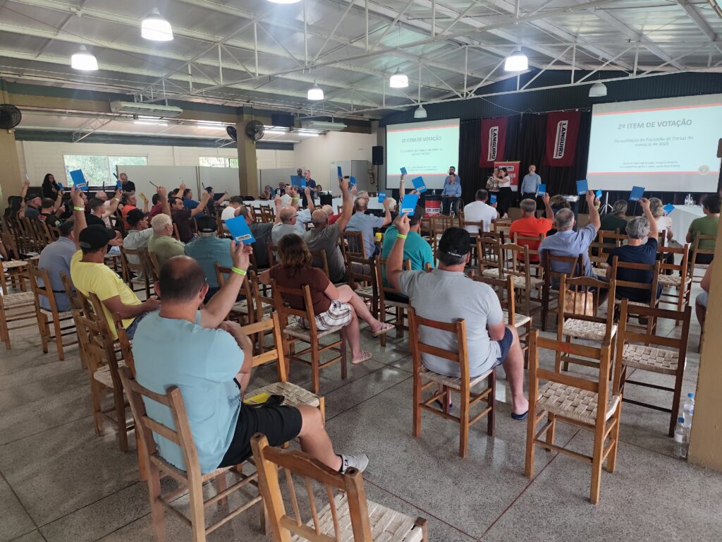 Resultado da Languiru supera os R$101 milhões em 2025