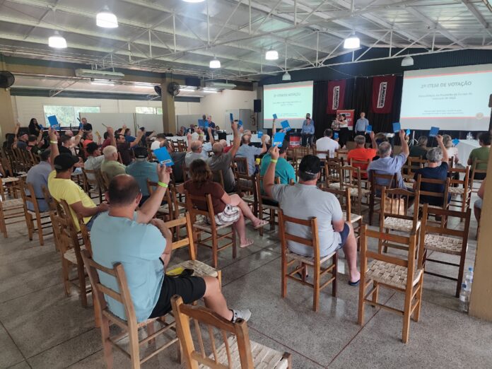 Resultado da Languiru supera os R$101 milhões em 2025