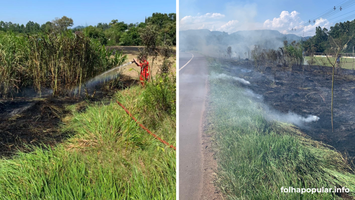 Incêndio em vegetação provoca fumaça e afeta visibilidade na ERS-128 em Teutônia