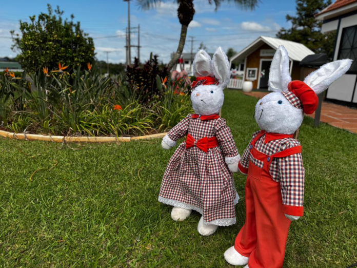 WhatsApp-Image-2026-03-16-at-09.49.45-_2_