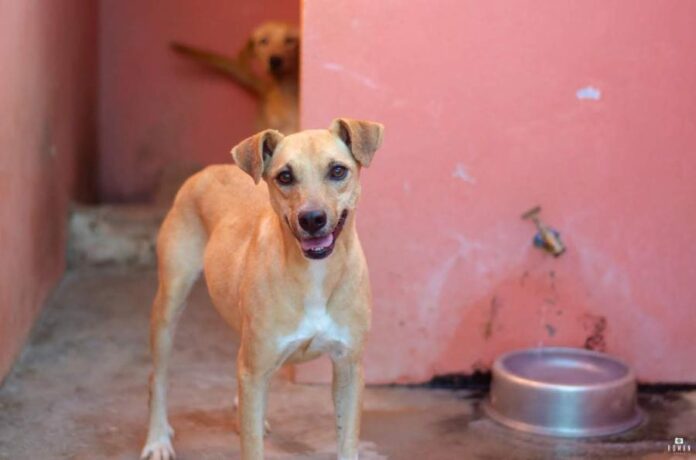 IMG20220513WA00271675432251607_foto