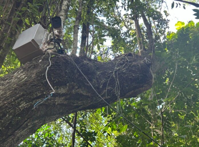 Parque público é alvo de vandalismo e furto de fios na região