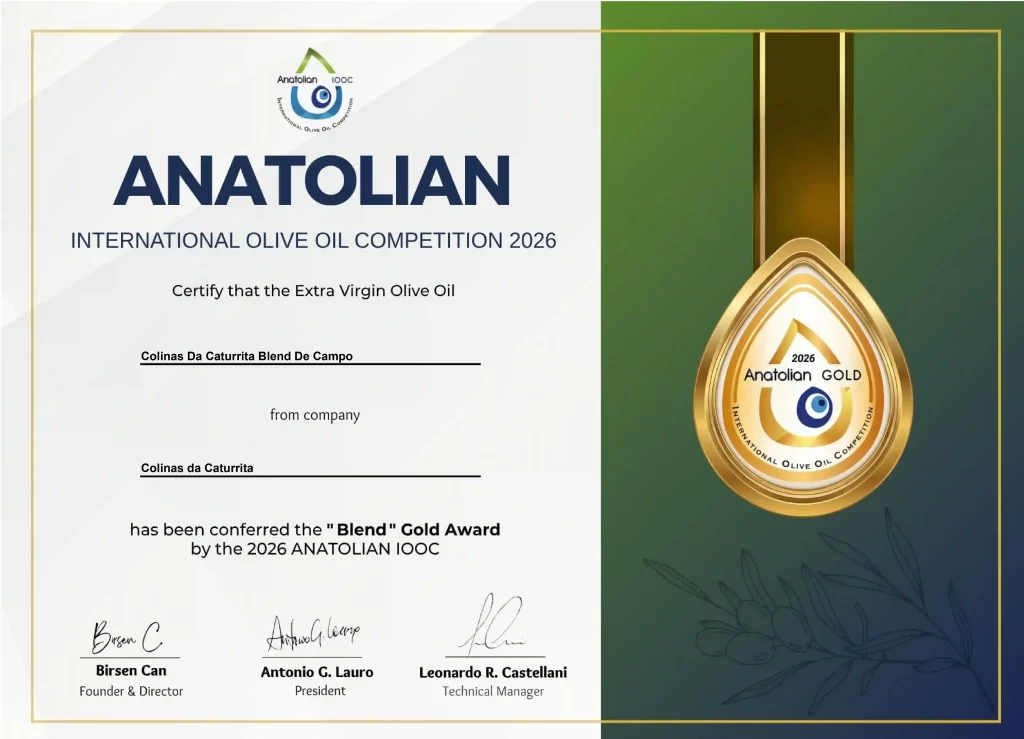 Certificado da medalha de ouro foi dado pela Anatolian IOOC
